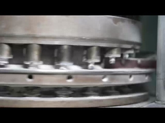 OEM 멀티 비타민 보충제