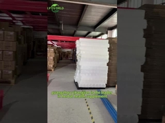 제아잔틴 눈 비타민 보충제를 사용자 정의하십시오 눈을 보호하십시오 망막 보호